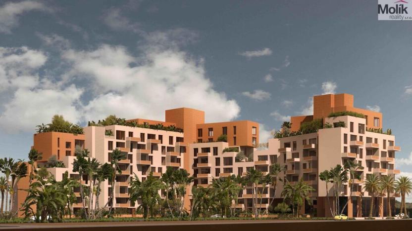 Prodej bytu 2+kk, Golem, 84 m2