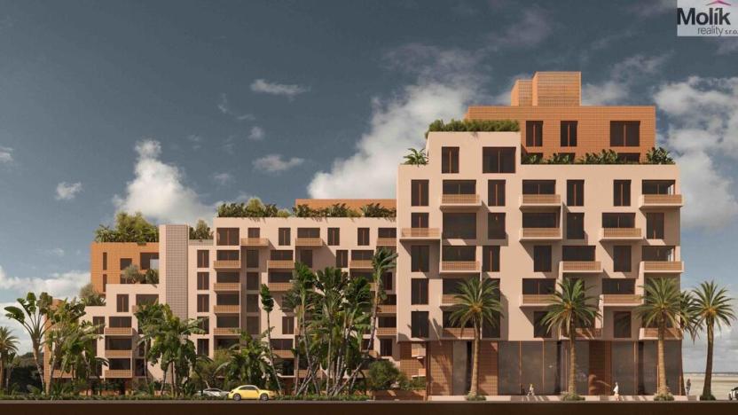 Prodej bytu 2+kk, Golem, 84 m2