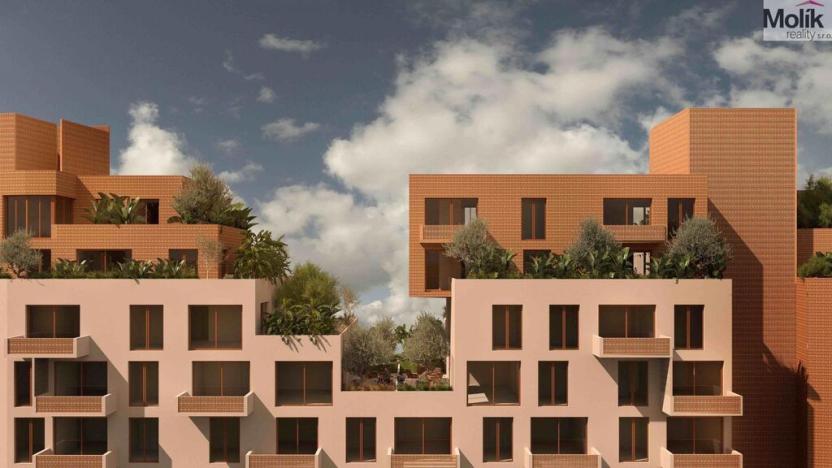 Prodej bytu 2+kk, Golem, 84 m2