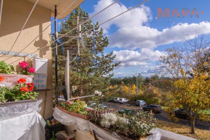 Prodej bytu 4+1, Chomutov, Borová, 76 m2