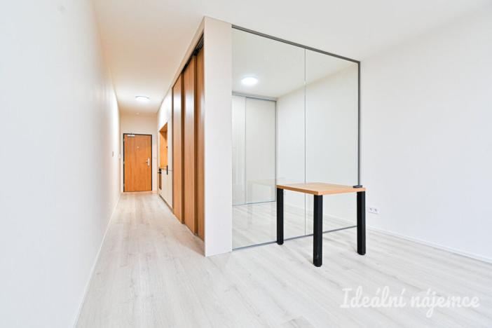 Pronájem bytu 1+kk, Brno, Dornych, 39 m2