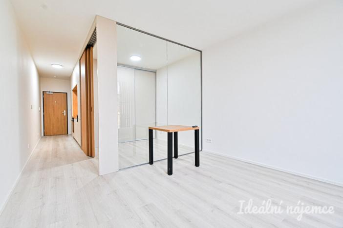 Pronájem bytu 1+kk, Brno, Dornych, 39 m2