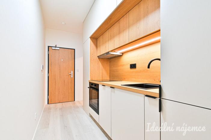 Pronájem bytu 1+kk, Brno, Dornych, 39 m2