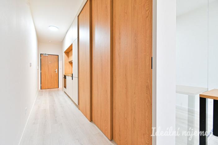 Pronájem bytu 1+kk, Brno, Dornych, 39 m2