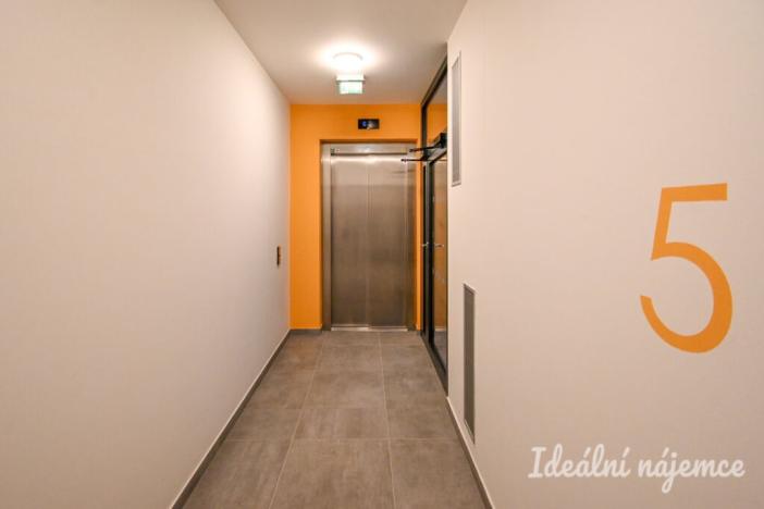 Pronájem bytu 1+kk, Brno, Dornych, 39 m2