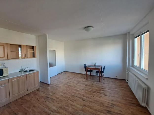 Pronájem bytu 1+kk, Brno, Spodní, 31 m2