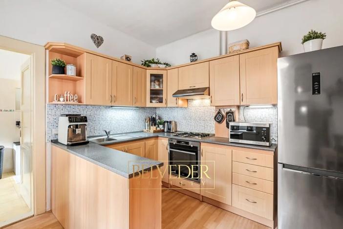 Prodej bytu 4+1, Teplice, Metelkovo náměstí, 120 m2