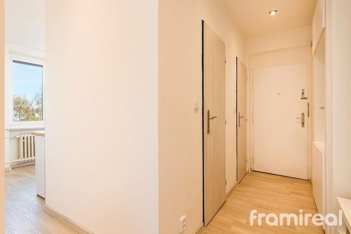 Pronájem bytu 2+1, Brno - Královo Pole, Svatopluka Čecha, 53 m2