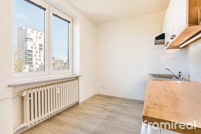 Pronájem bytu 2+1, Brno - Královo Pole, Svatopluka Čecha, 53 m2