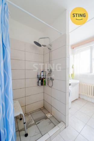 Prodej vícegeneračního domu, Opava, Dostojevského, 294 m2