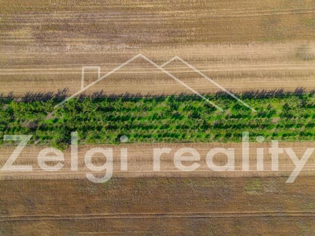 Prodej sadu/vinice, Zaječí, 8494 m2