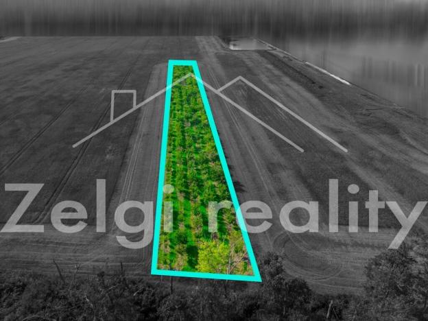 Prodej sadu/vinice, Zaječí, 8494 m2