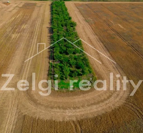 Prodej sadu/vinice, Zaječí, Hlavní, 8494 m2