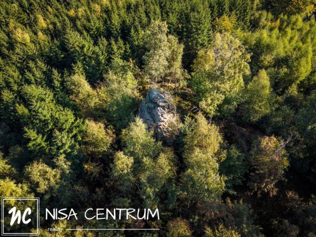 Prodej lesa, Šimonovice, 30343 m2