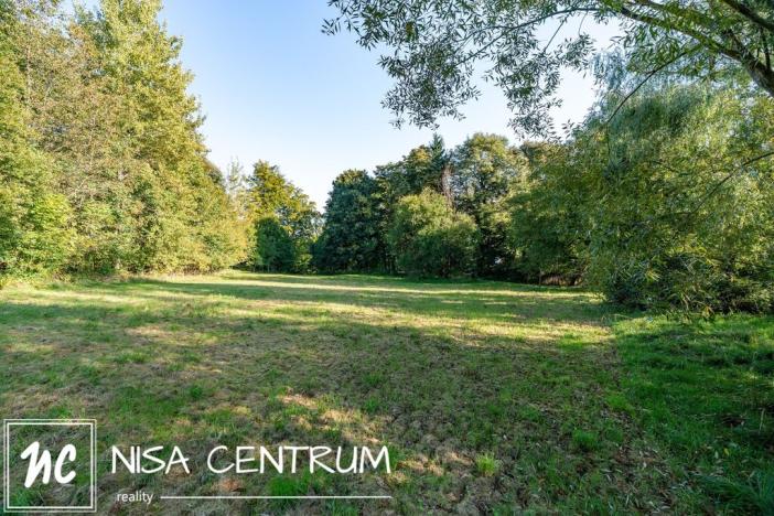 Prodej lesa, Šimonovice, 30343 m2