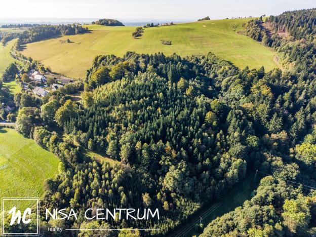 Prodej lesa, Šimonovice, 30343 m2