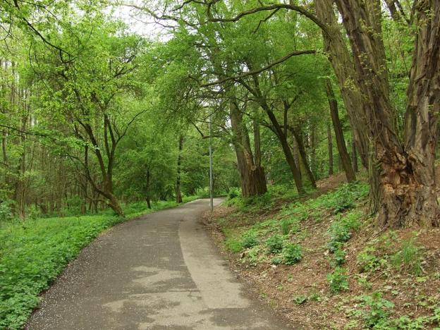 Pronájem bytu 1+kk, Praha - Horní Měcholupy, Milánská, 35 m2