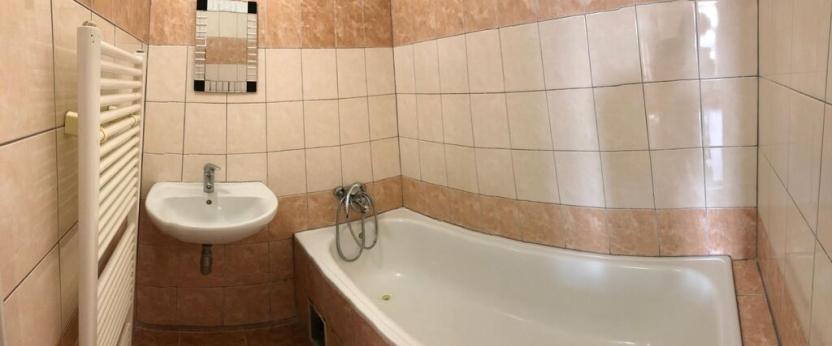 Pronájem bytu 1+kk, Praha - Vysočany, Freyova, 25 m2
