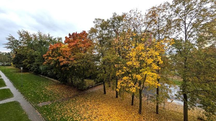 Pronájem bytu 2+1, Most, Obránců míru, 53 m2