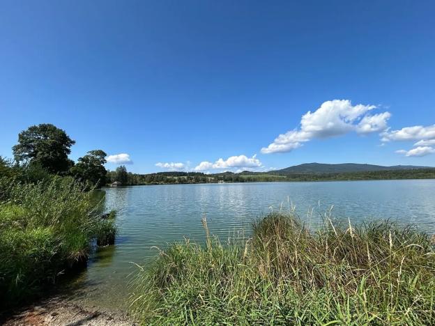 Prodej pozemku pro bydlení, Horní Planá, 4593 m2