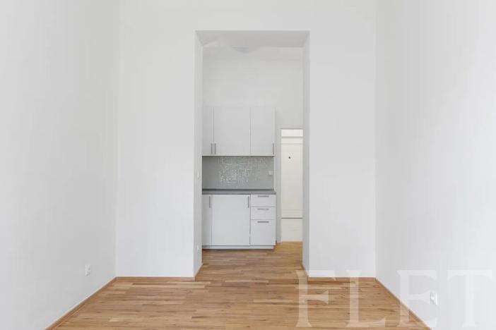 Pronájem bytu 1+kk, Praha - Nusle, Lumírova, 31 m2