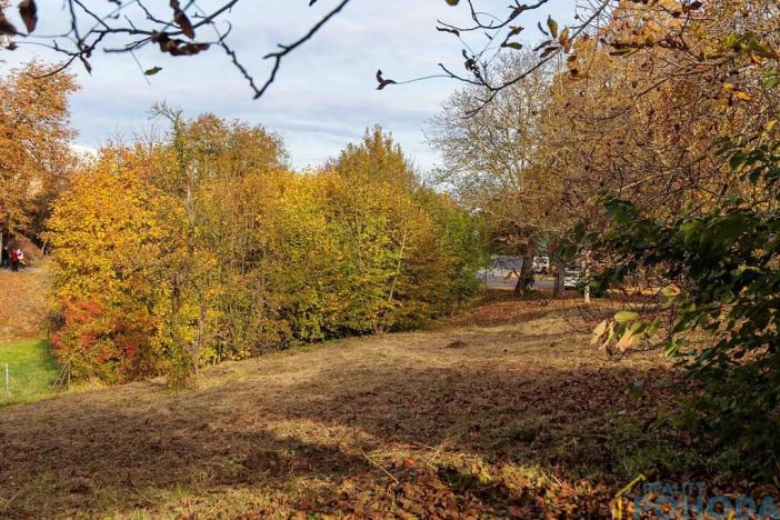 Prodej pozemku pro bydlení, Příluka, 805 m2