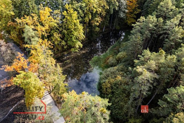 Prodej pozemku, Chlum u Třeboně - Žíteč, 64790 m2