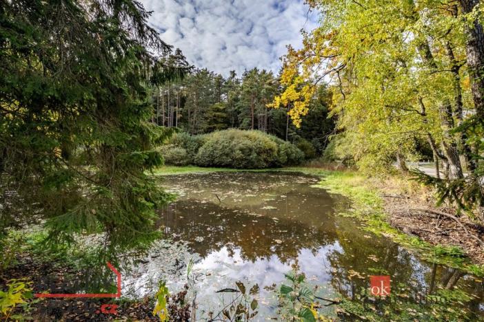 Prodej pozemku, Chlum u Třeboně - Žíteč, 64790 m2