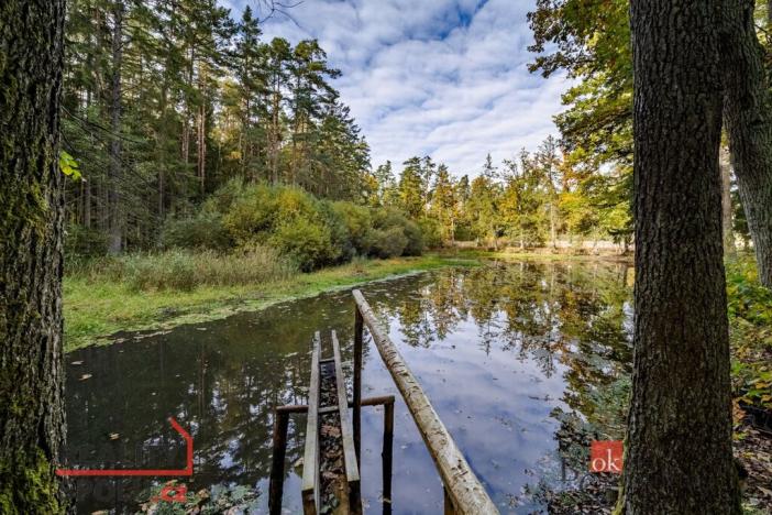 Prodej pozemku, Chlum u Třeboně - Žíteč, 64790 m2