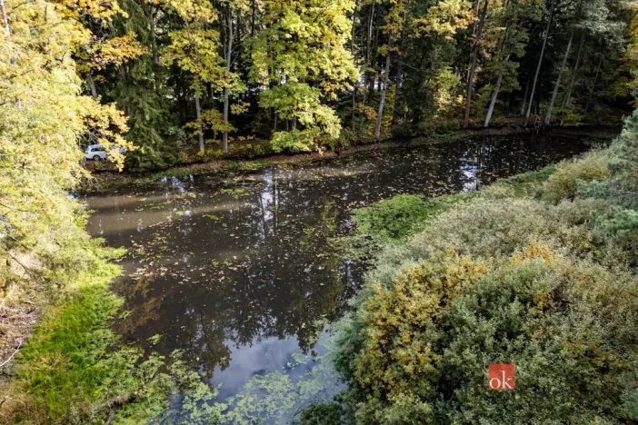 Prodej pozemku, Chlum u Třeboně - Žíteč, 64790 m2
