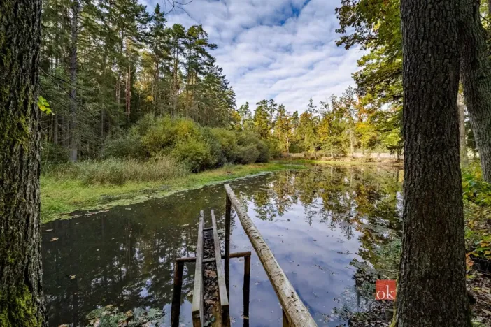 Prodej pozemku, Chlum u Třeboně - Žíteč, 64790 m2