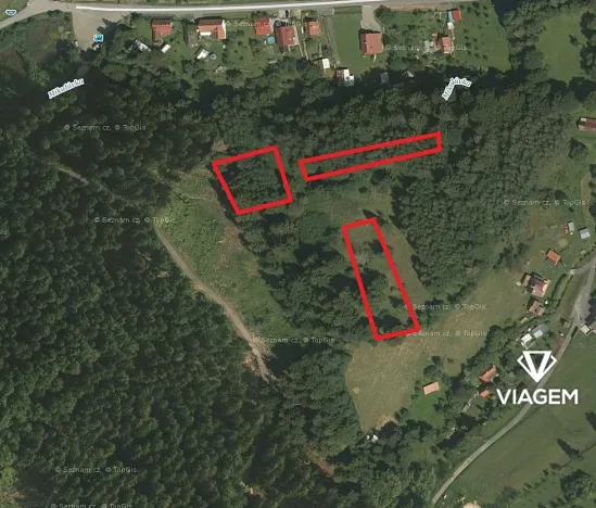 Prodej lesa, Mikulůvka, 3813 m2