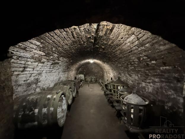 Prodej vinného sklepa, Hrušky, 35 m2