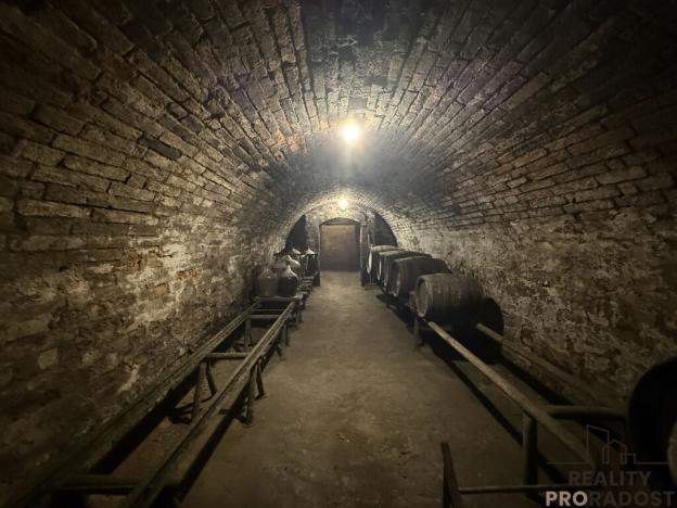 Prodej vinného sklepa, Hrušky, 35 m2