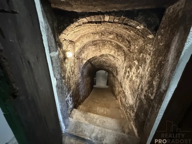 Prodej vinného sklepa, Hrušky, 35 m2