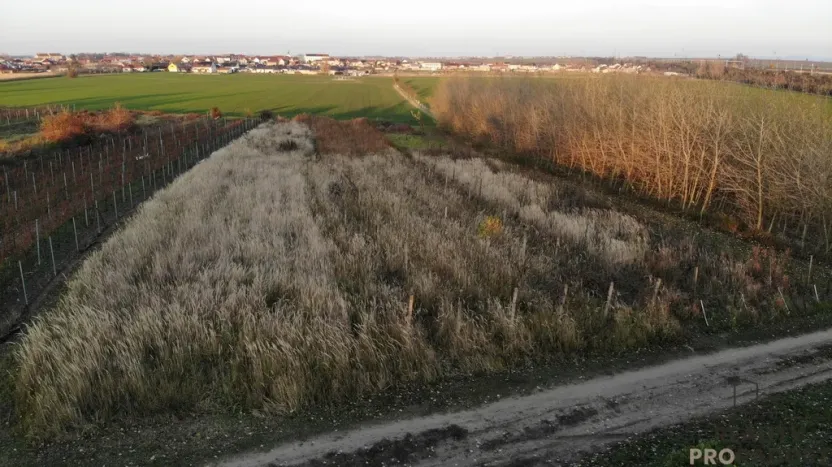 Prodej vinného sklepa, Hrušky, 35 m2