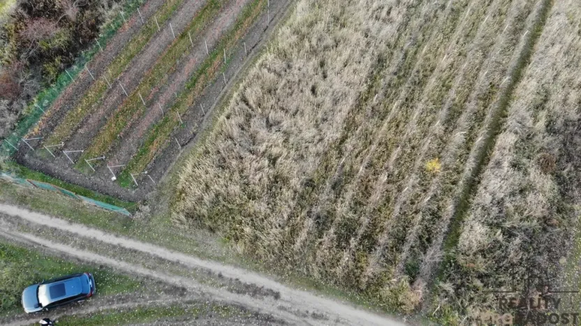 Prodej vinného sklepa, Hrušky, 35 m2