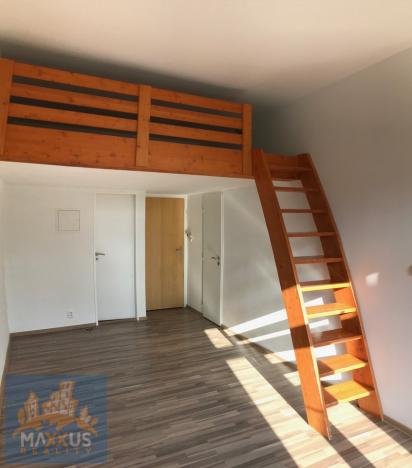 Pronájem bytu 1+kk, Praha - Vysočany, Freyova, 20 m2