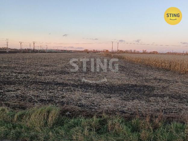 Prodej pole, Břeclav, 10356 m2