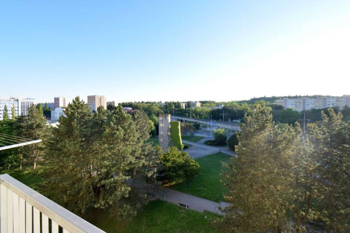 Pronájem bytu 2+1, Brno - Štýřice, Renneská třída, 54 m2