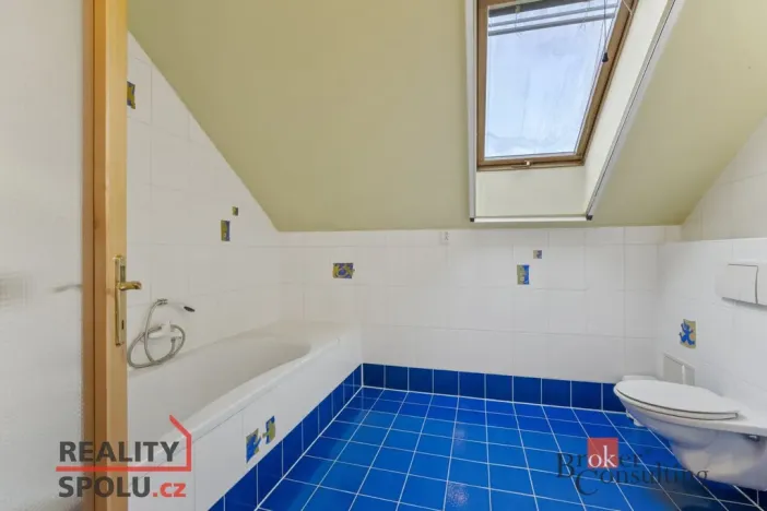 Prodej rodinného domu, Albrechtice nad Orlicí, 1. máje, 191 m2