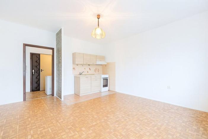 Pronájem bytu 2+kk, Ústí nad Labem, Brandtova, 40 m2