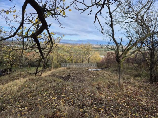 Prodej zahrady, Židlochovice, 1185 m2