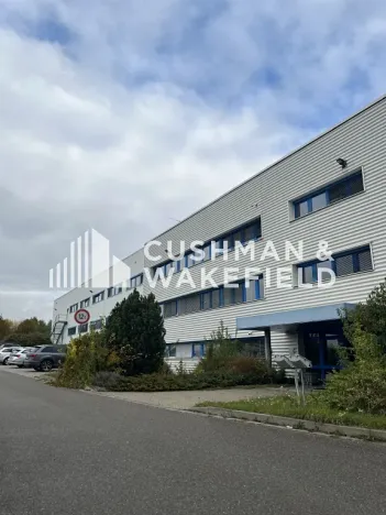 Prodej skladu, Hustopeče, 5500 m2