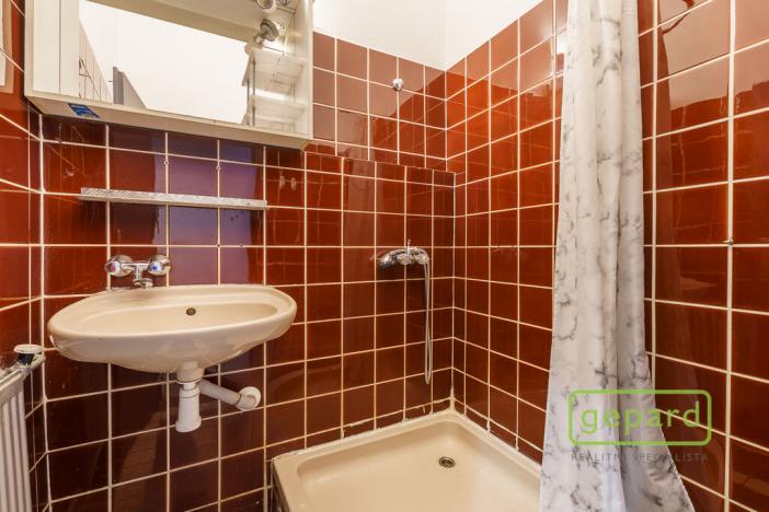 Prodej apartmánu, Sokolov, Svatopluka Čecha, 596 m2