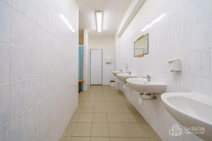 Prodej výrobních prostor, Krásno, Kladenská, 4900 m2