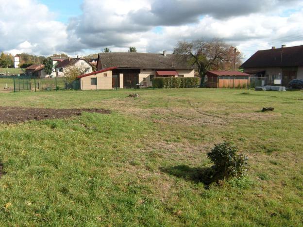 Prodej pozemku, Borovnice - Přestavlky, 3744 m2