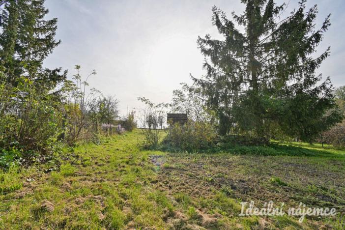 Pronájem rodinného domu, Prasklice, 78 m2