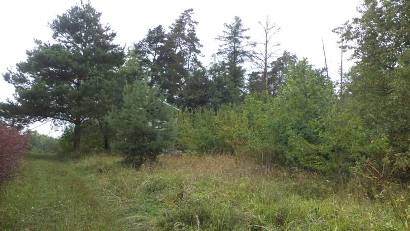 Prodej pozemku, Skuteč, 881 m2