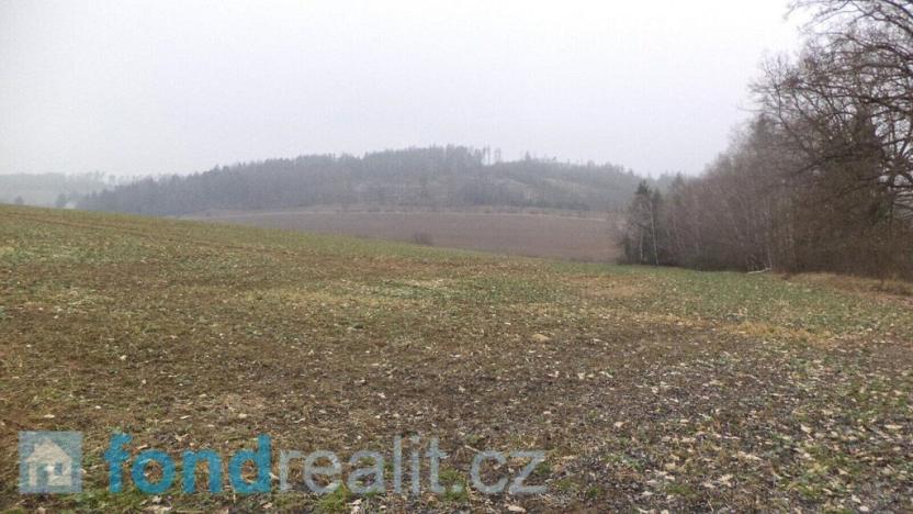 Prodej pole, Zvěstov, 51947 m2